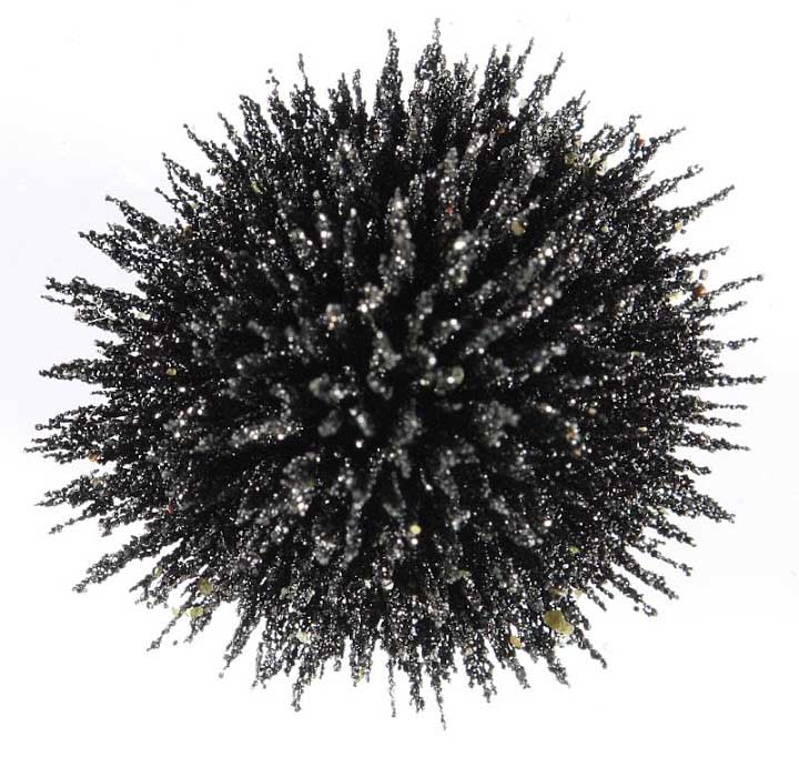 magnetite grains aligned in the external magnetic field