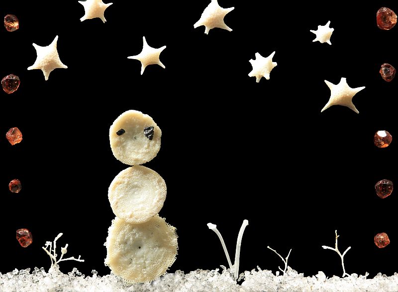 Sand grain christmas card