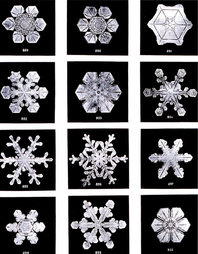 Snowflakes by WilsonBentley