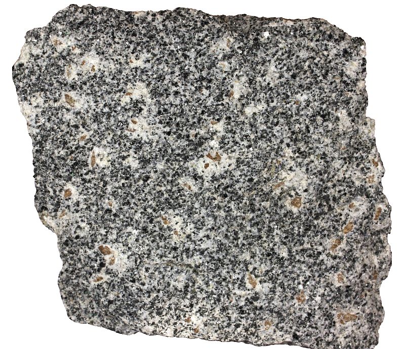Titanite in granodiorite