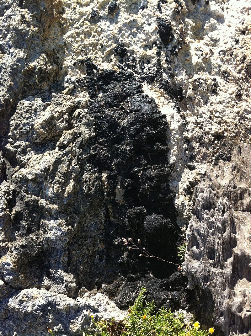 Tourmaline in pegmatite at Cap de Creus